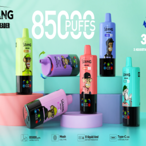 Bang Leader 85000 Puffs 3 in 1 Vape – wholesale disposable vape with three flavors and rechargeable design