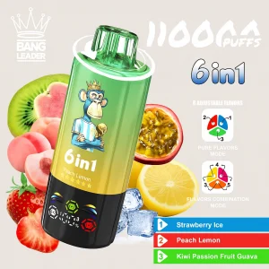 Bang Leader Ola Tank 3 6 in 1 Disposable Vape – 11000 Puffs, Dual Mode Flavors, Rechargeable