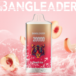 Bang Leader 20000 Puffs Disposable Vape 20K – wholesale rechargeable vape with multiple flavors