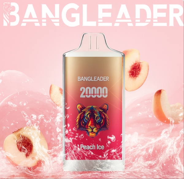 Bang Leader 20000 Puffs Disposable Vape 20K – wholesale rechargeable vape with multiple flavors