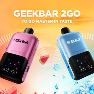 Geekbar 2Go Disposable – wholesale mixed flavors, 50000/50k puffs